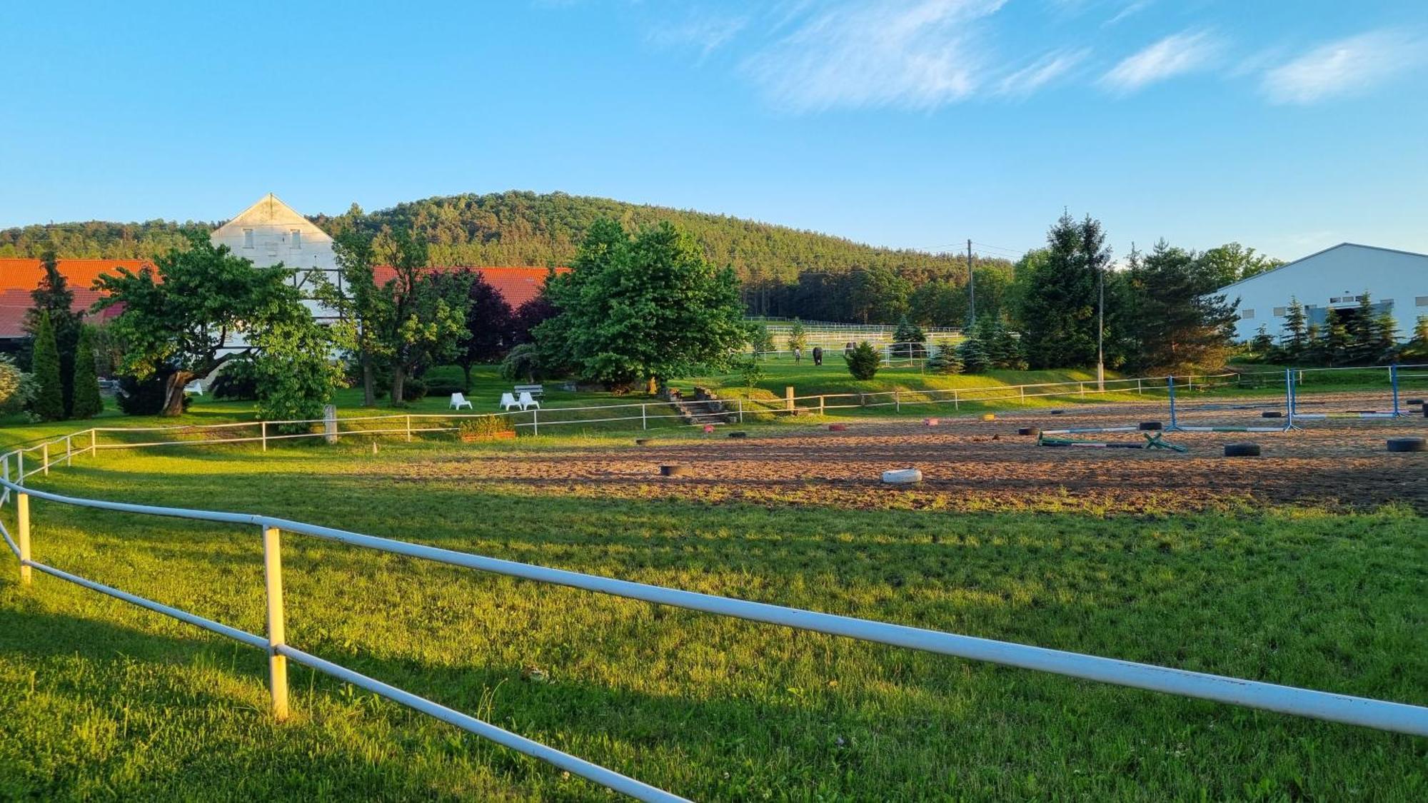 Folwark Leszczynówka Vila Srebrna Góra Exterior foto