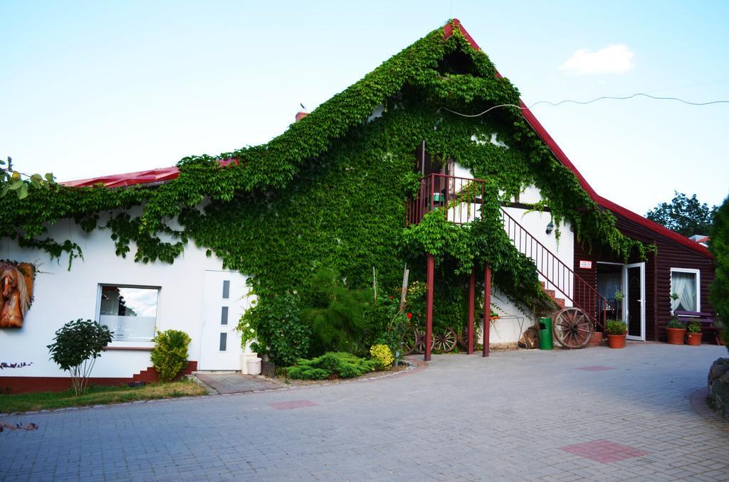 Folwark Leszczynówka Vila Srebrna Góra Exterior foto