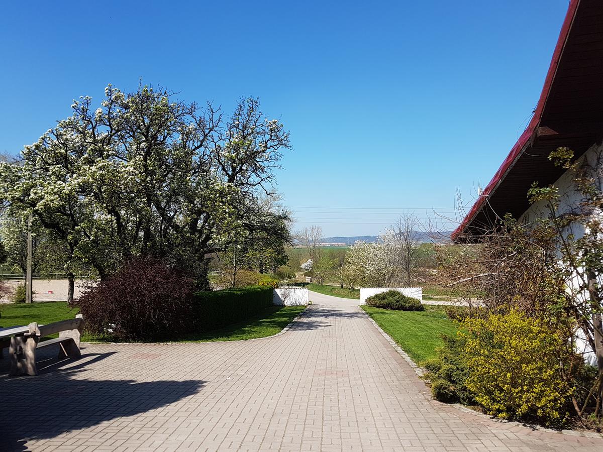 Folwark Leszczynówka Vila Srebrna Góra Exterior foto