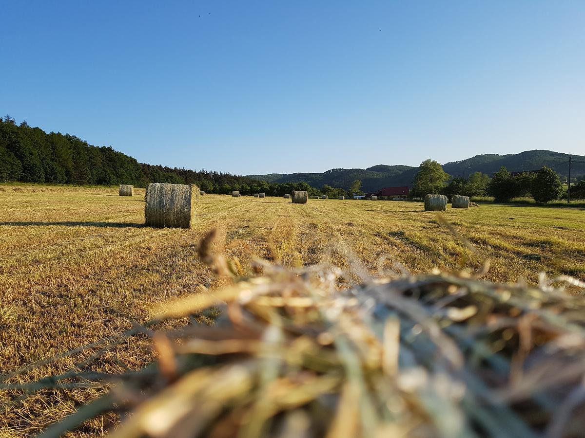 Folwark Leszczynówka Vila Srebrna Góra Exterior foto