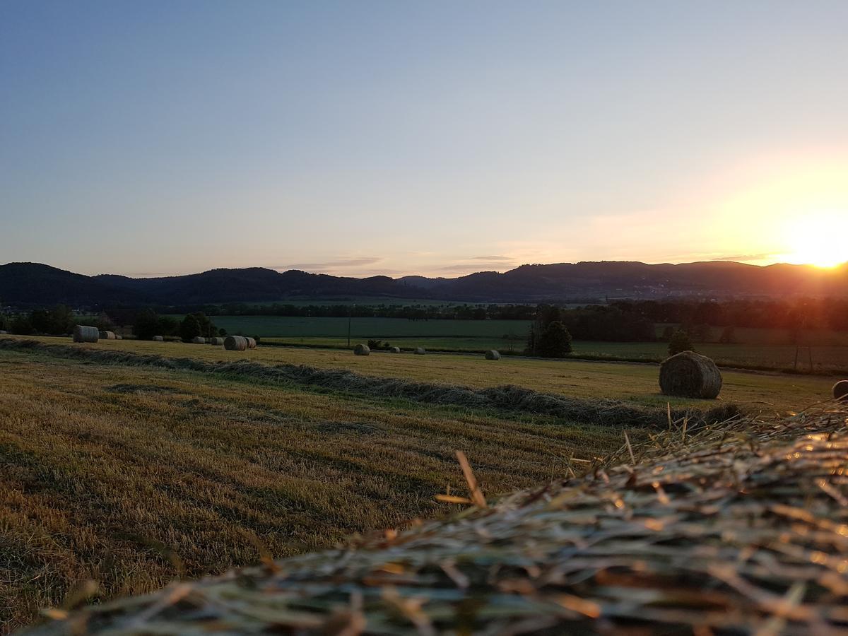 Folwark Leszczynówka Vila Srebrna Góra Exterior foto